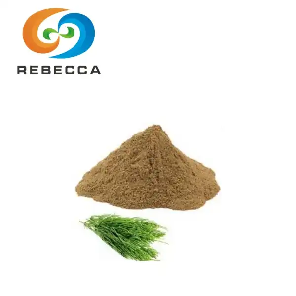 Horsetail Extract Powder